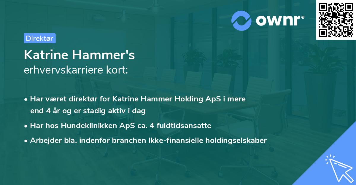 Katrine Hammer's erhvervskarriere kort