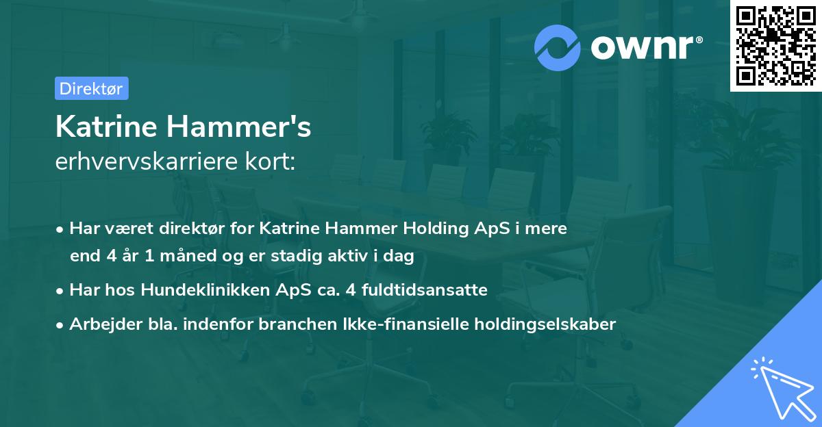 Katrine Hammer's erhvervskarriere kort