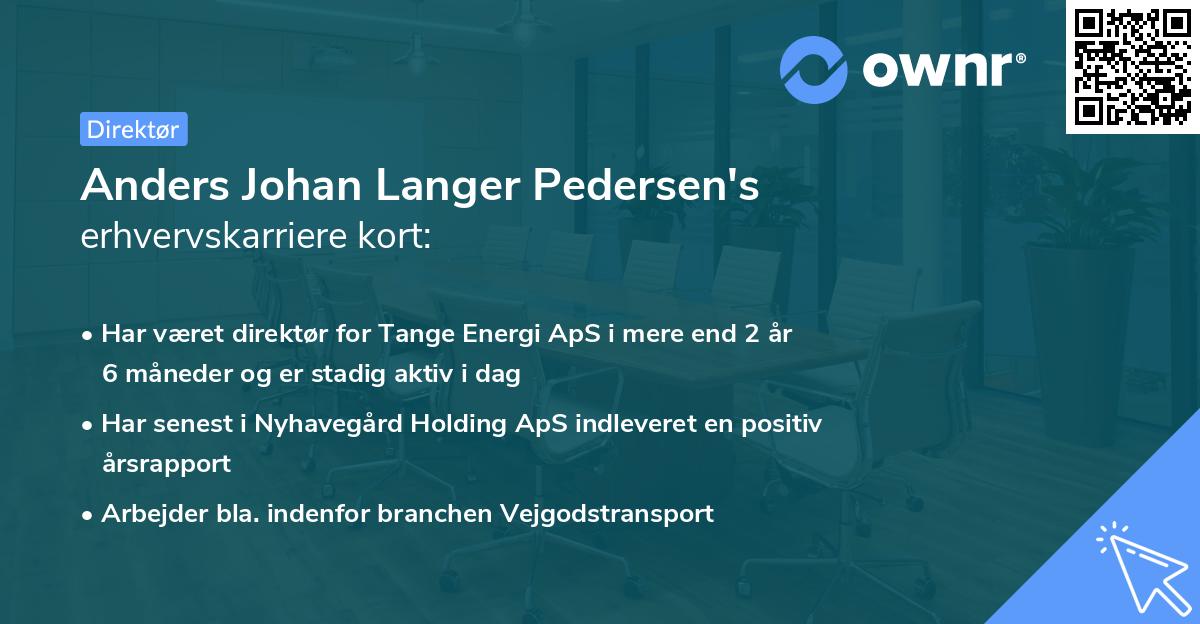 Anders Johan Langer Pedersen's erhvervskarriere kort