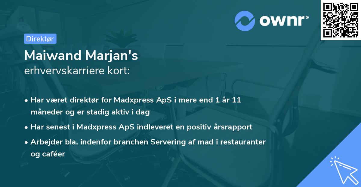 Maiwand Marjan's erhvervskarriere kort