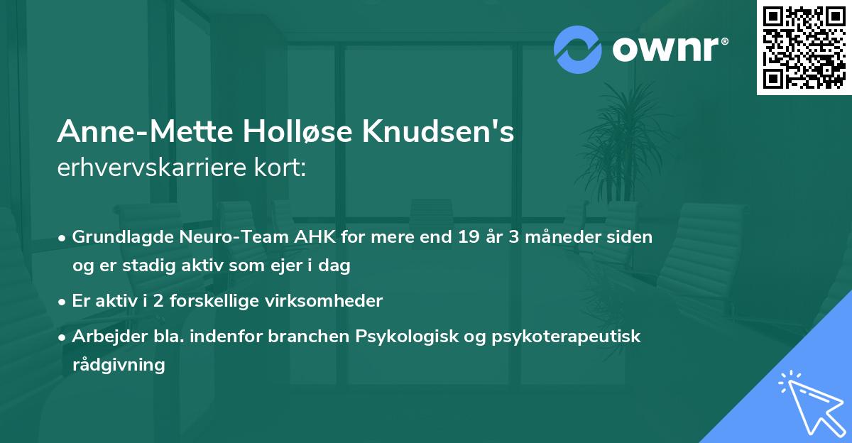 Anne-Mette Holløse Knudsen's erhvervskarriere kort