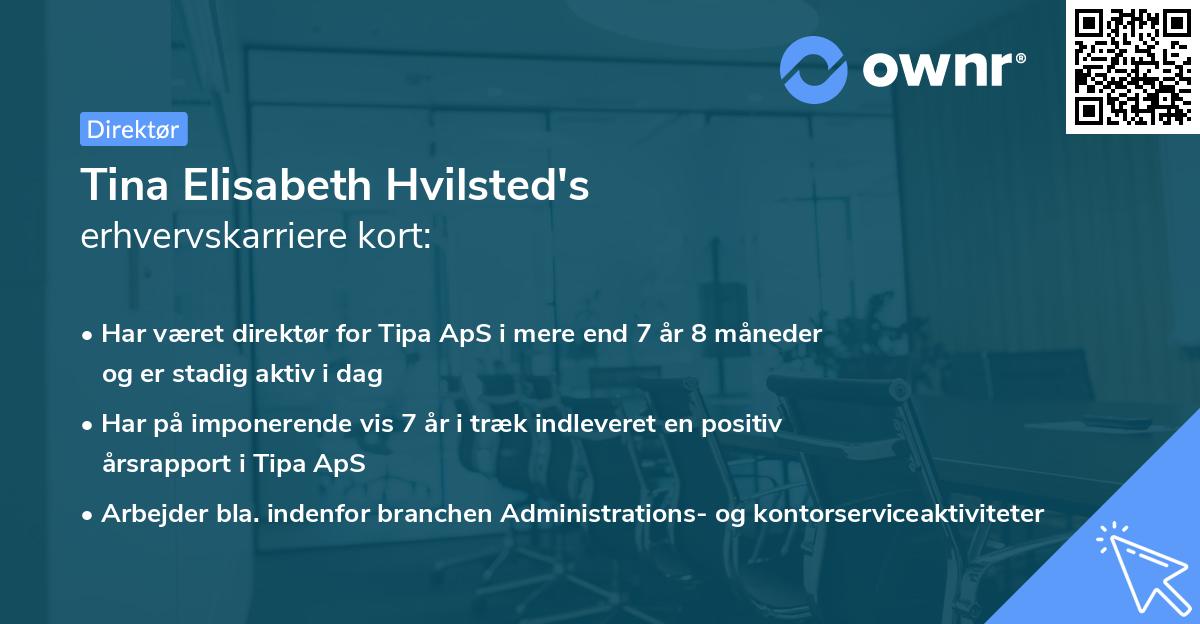Tina Elisabeth Hvilsted's erhvervskarriere kort