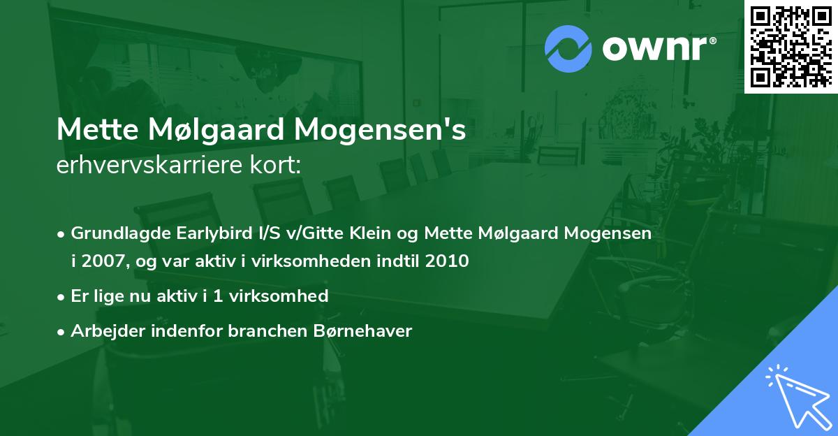 Mette Mølgaard Mogensen's erhvervskarriere kort