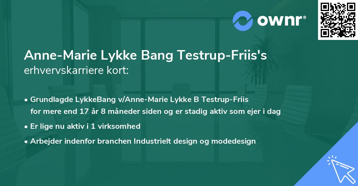 Anne-Marie Lykke Bang Testrup-Friis's erhvervskarriere kort