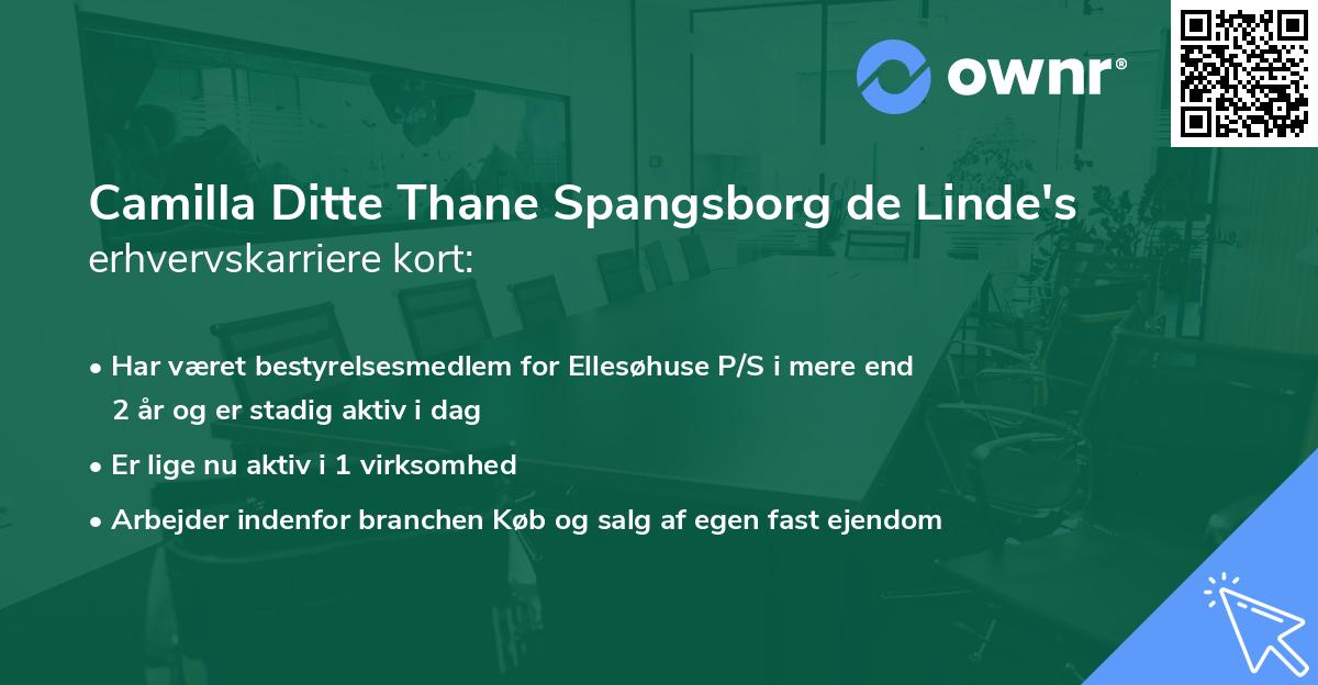 Camilla Ditte Thane Spangsborg de Linde's erhvervskarriere kort