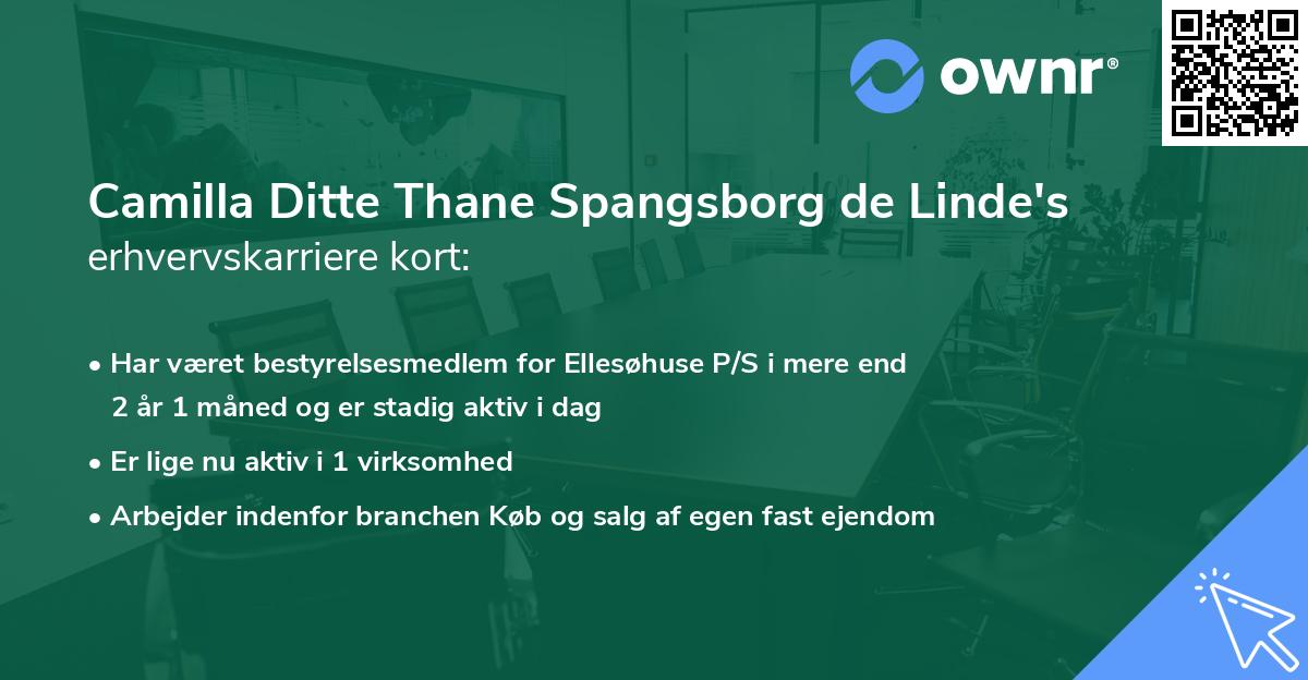 Camilla Ditte Thane Spangsborg de Linde's erhvervskarriere kort