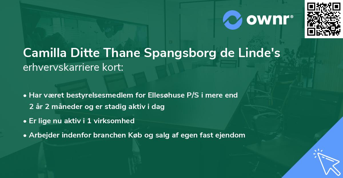 Camilla Ditte Thane Spangsborg de Linde's erhvervskarriere kort