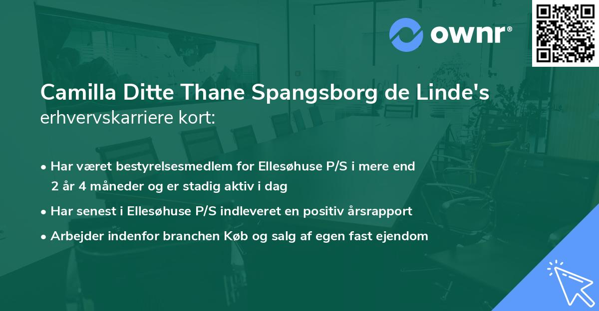 Camilla Ditte Thane Spangsborg de Linde's erhvervskarriere kort
