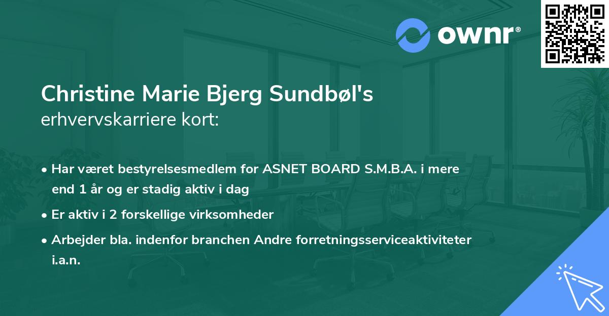 Christine Marie Bjerg Sundbøl's erhvervskarriere kort