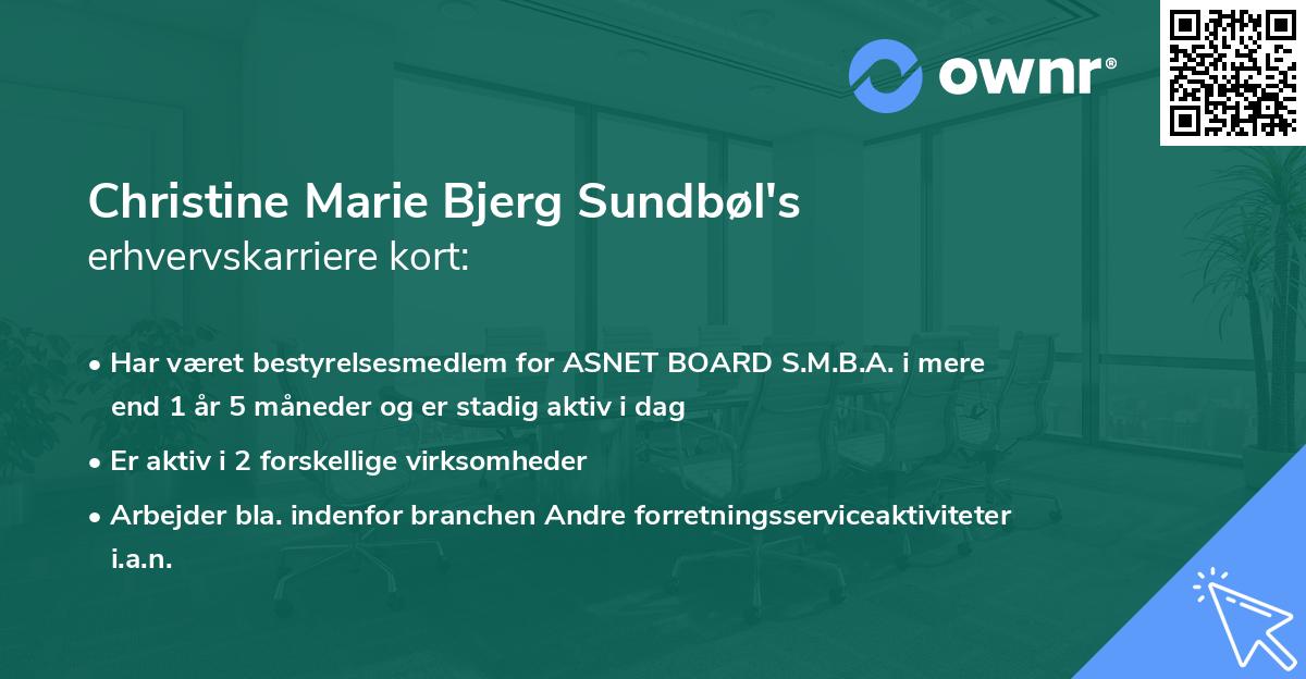 Christine Marie Bjerg Sundbøl's erhvervskarriere kort