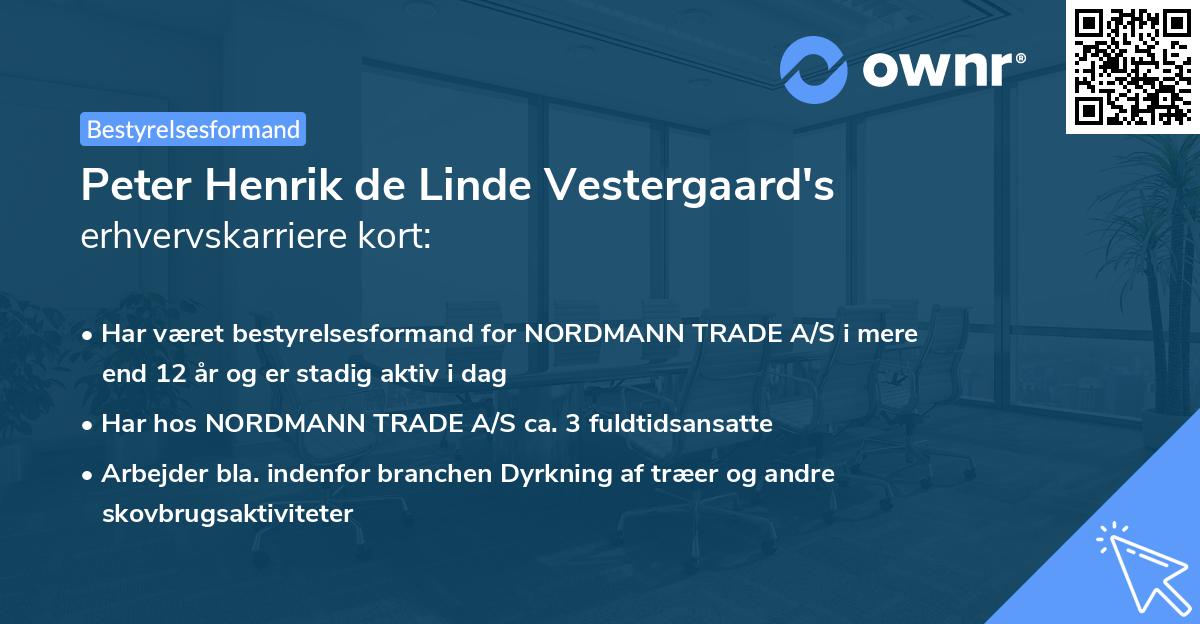 Peter Henrik de Linde Vestergaard's erhvervskarriere kort