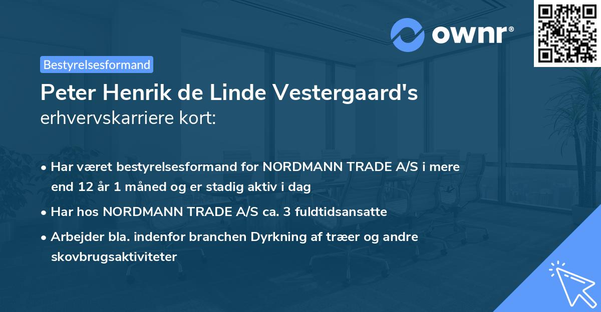 Peter Henrik de Linde Vestergaard's erhvervskarriere kort