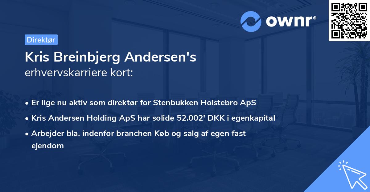 Kris Breinbjerg Andersen's erhvervskarriere kort
