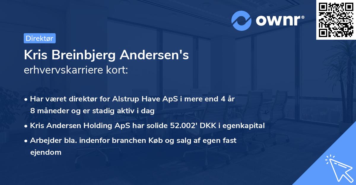 Kris Breinbjerg Andersen's erhvervskarriere kort
