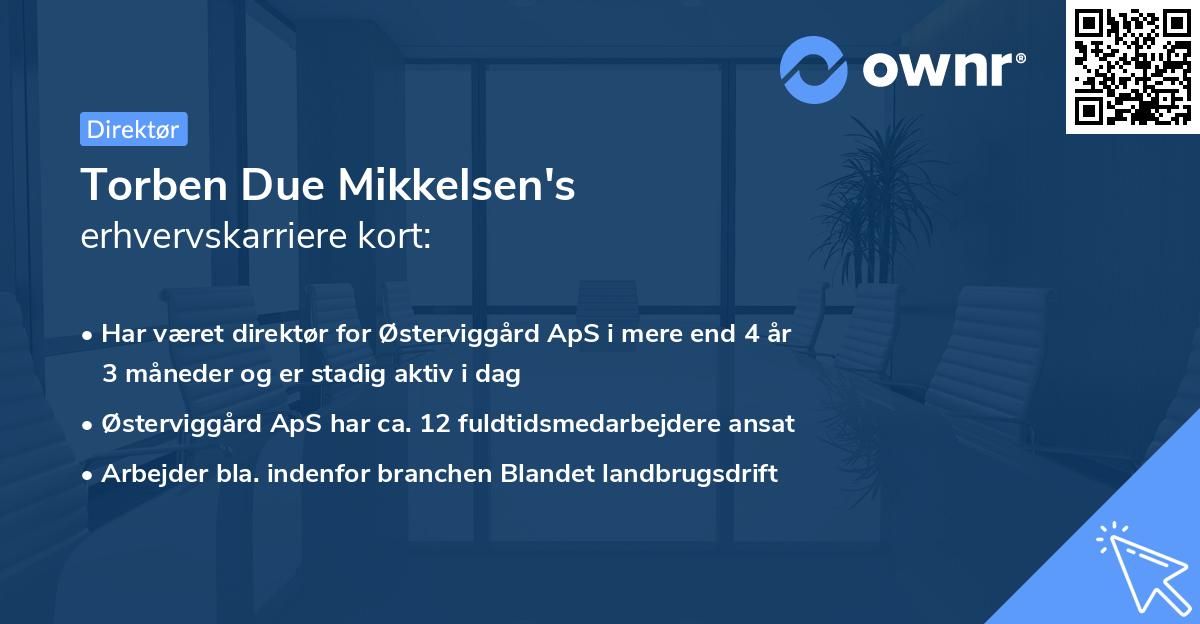 Torben Due Mikkelsen's erhvervskarriere kort