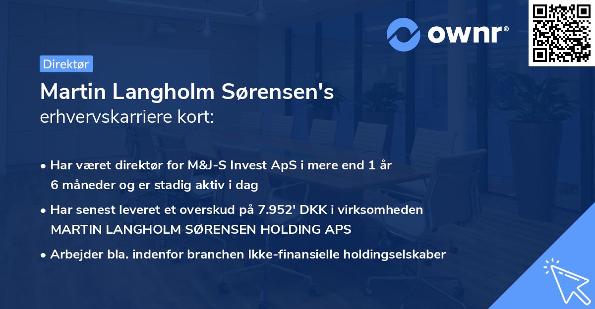 Martin Langholm Sørensen's erhvervskarriere kort