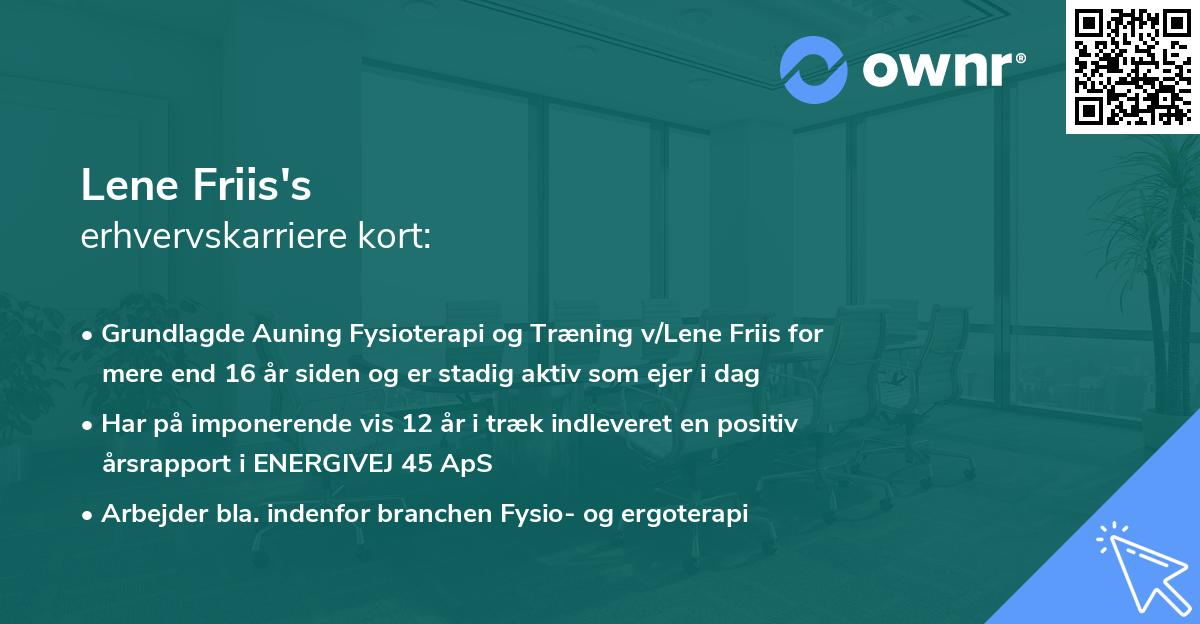 Lene Friis's erhvervskarriere kort