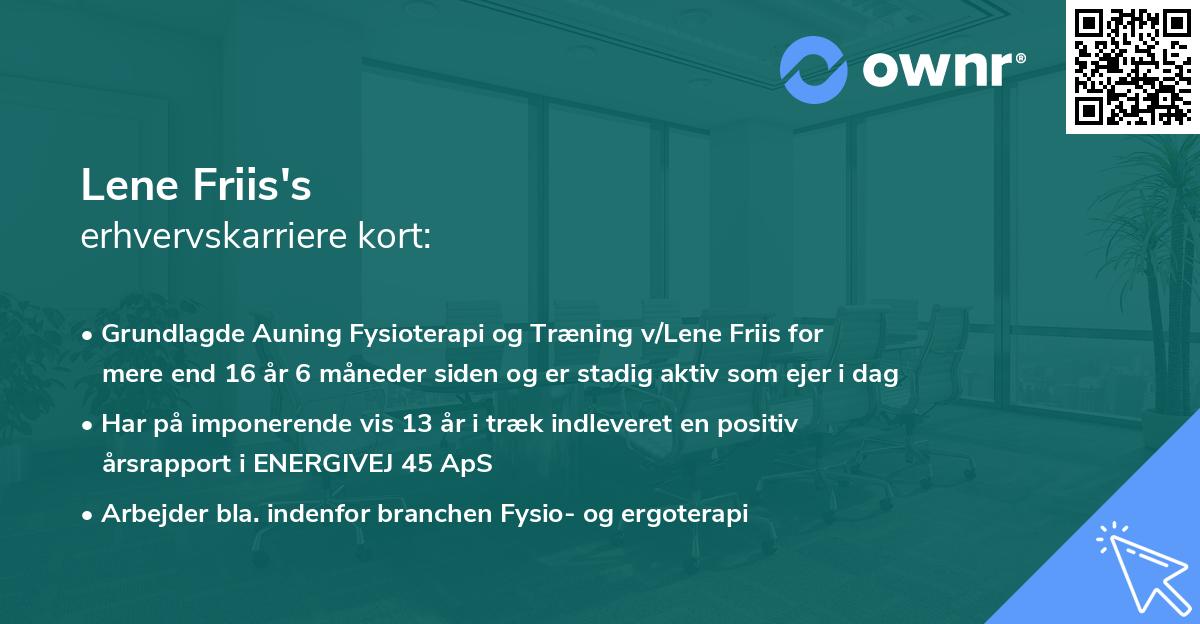 Lene Friis's erhvervskarriere kort