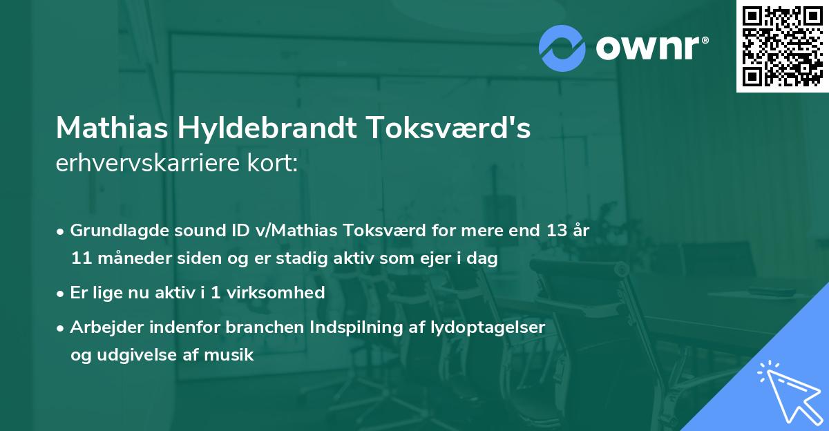 Mathias Hyldebrandt Toksværd's erhvervskarriere kort