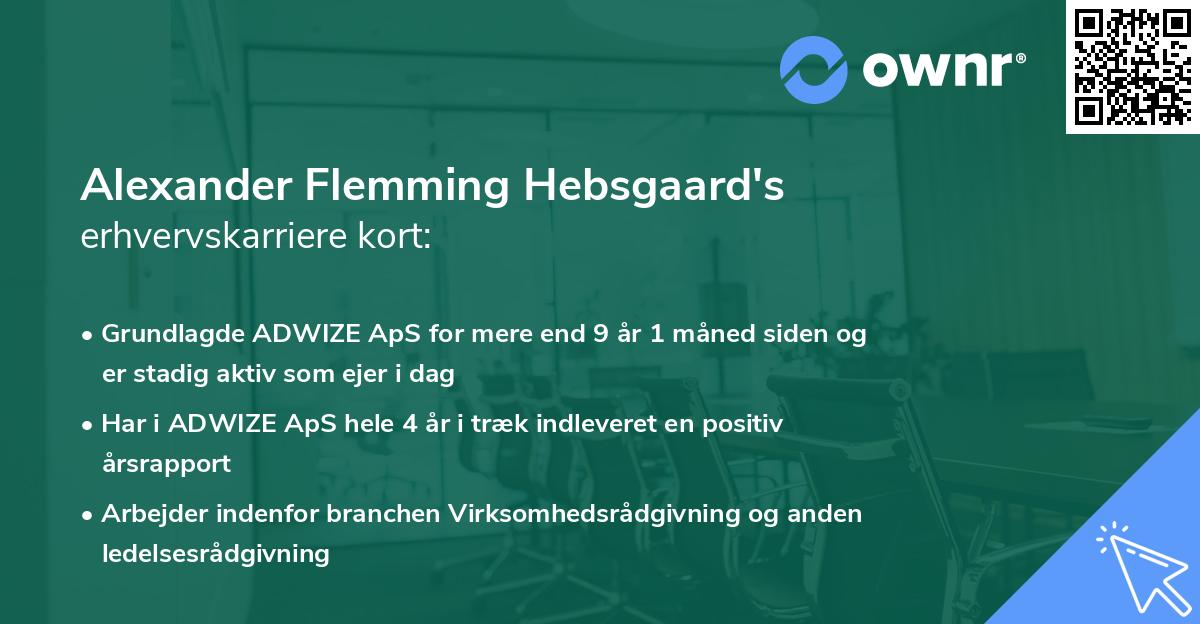 Alexander Flemming Hebsgaard's erhvervskarriere kort