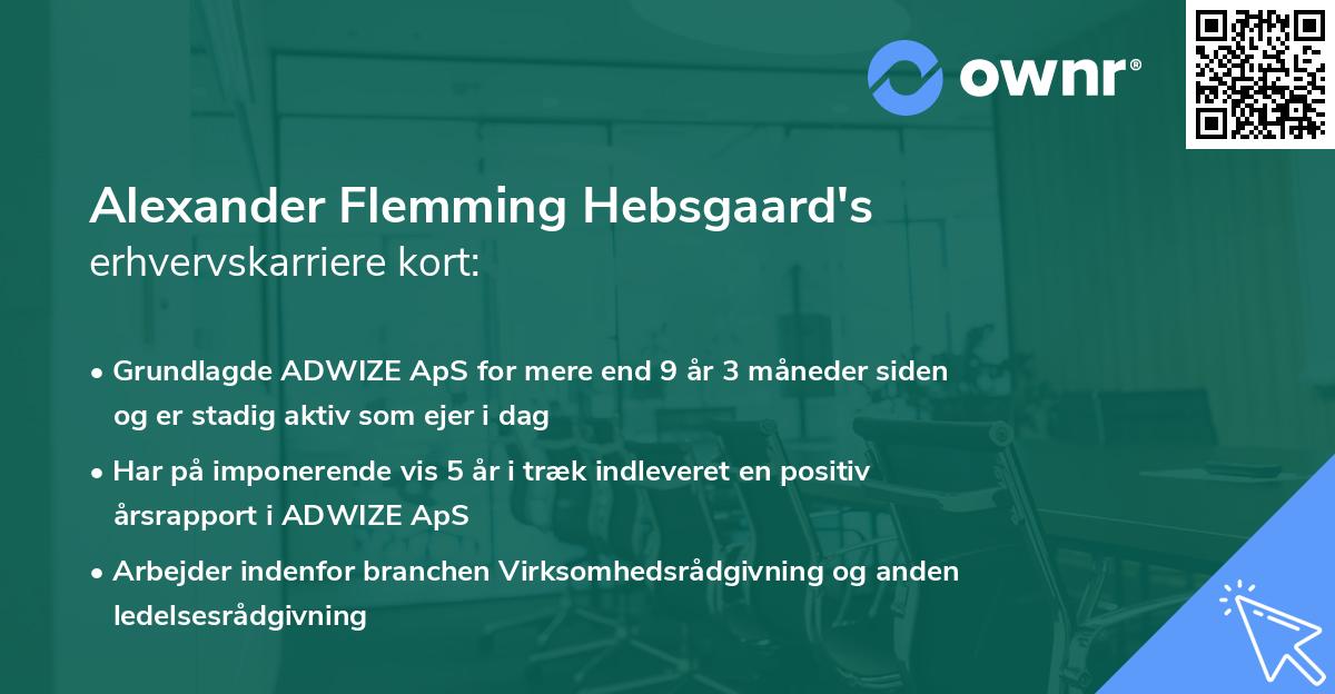 Alexander Flemming Hebsgaard's erhvervskarriere kort