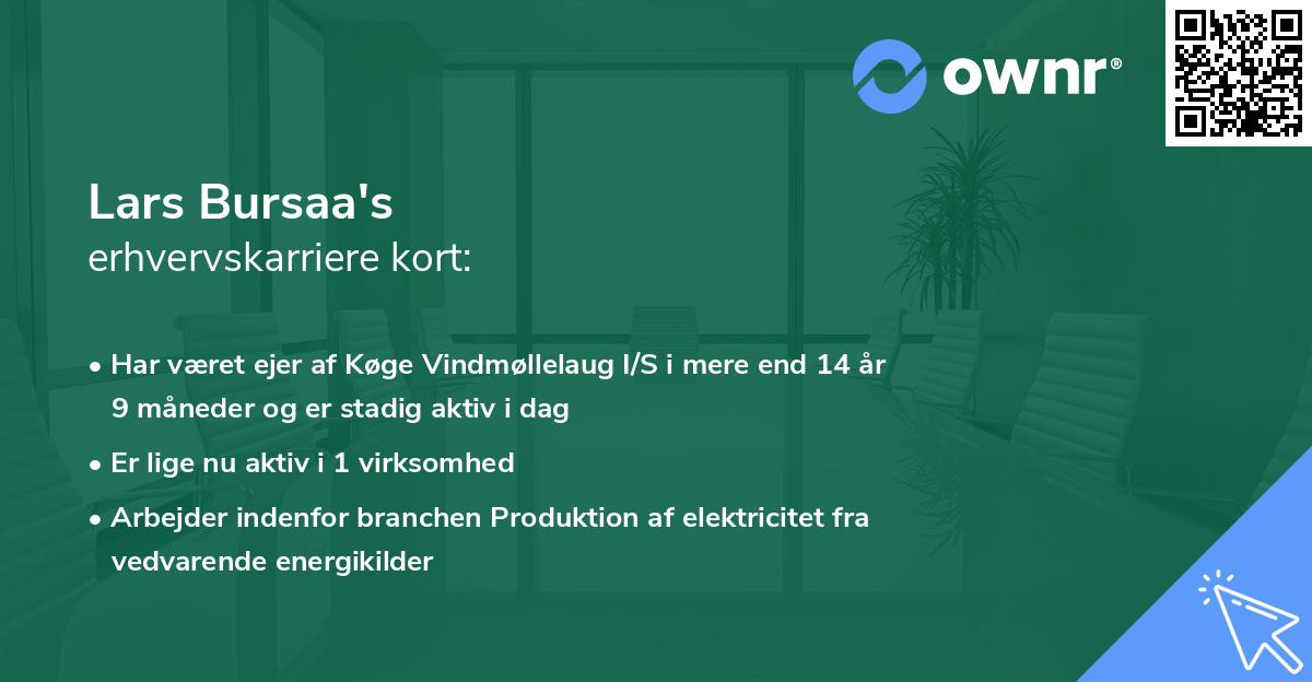 Lars Bursaa's erhvervskarriere kort