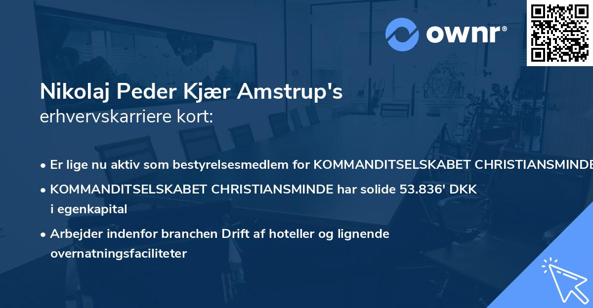 Nikolaj Peder Kjær Amstrup's erhvervskarriere kort