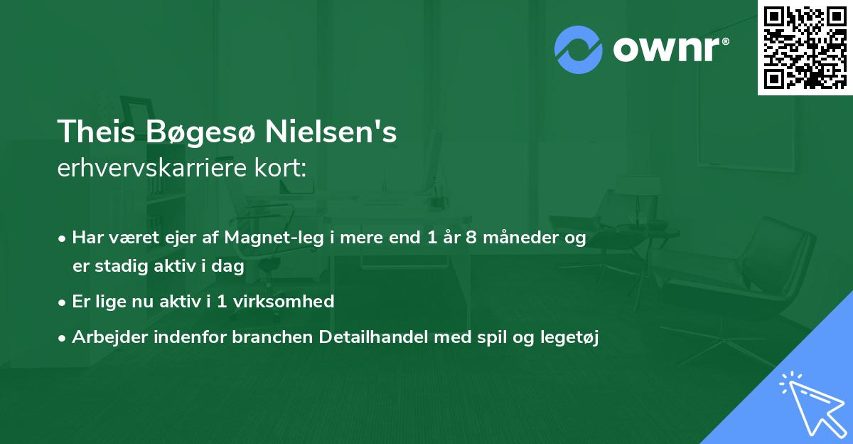 Theis Bøgesø Nielsen's erhvervskarriere kort