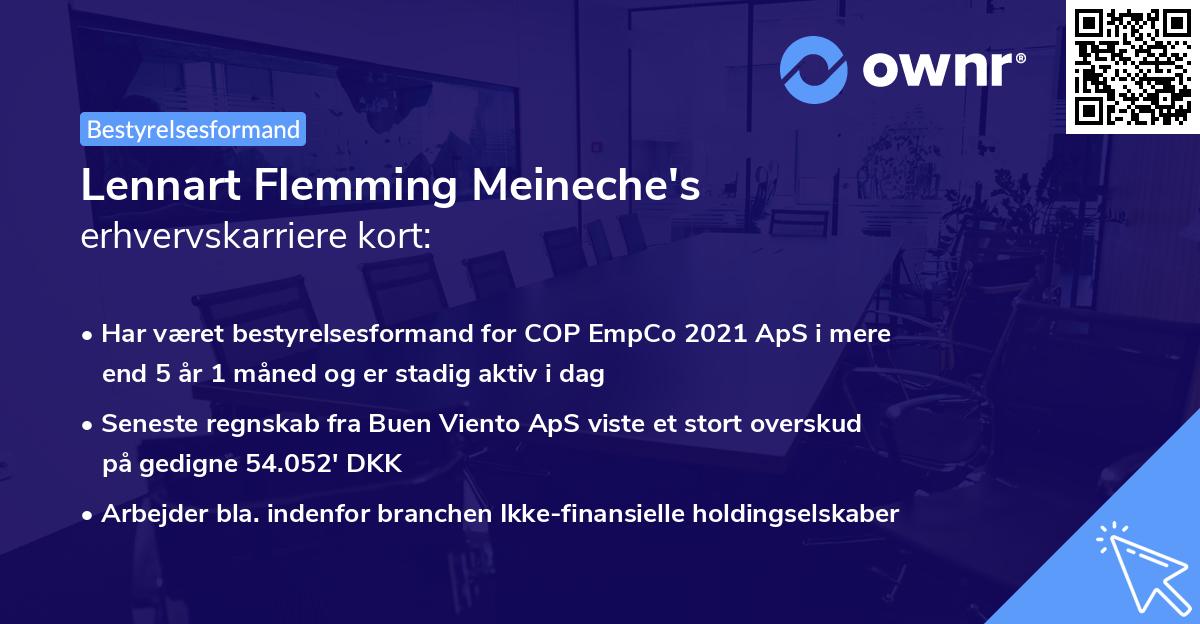 Lennart Flemming Meineche's erhvervskarriere kort