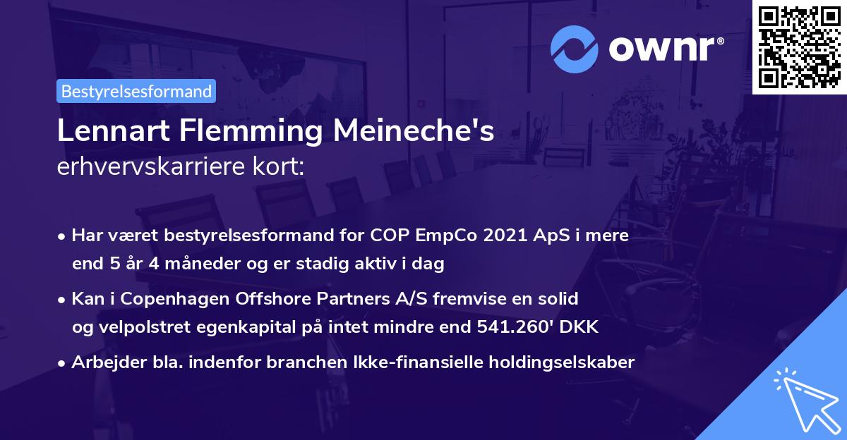 Lennart Flemming Meineche's erhvervskarriere kort