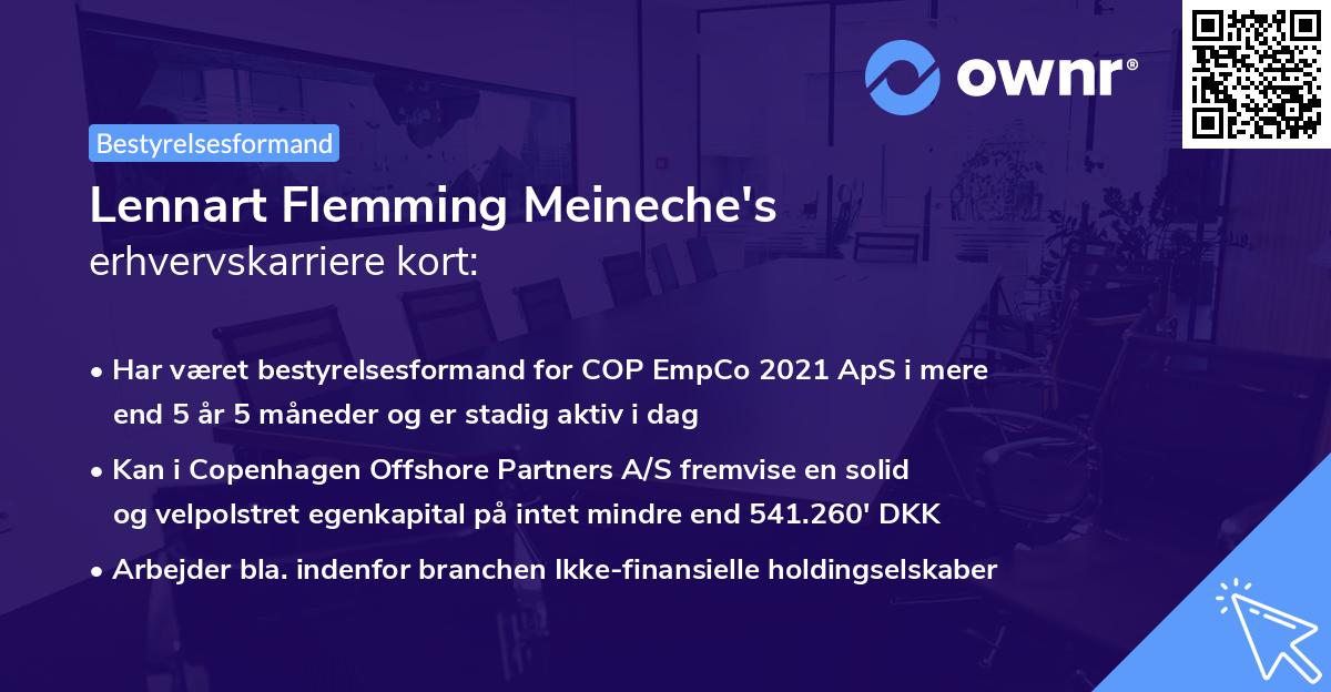 Lennart Flemming Meineche's erhvervskarriere kort