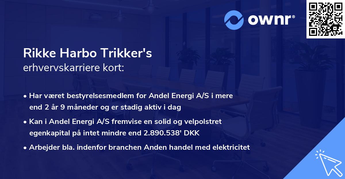 Rikke Harbo Trikker's erhvervskarriere kort