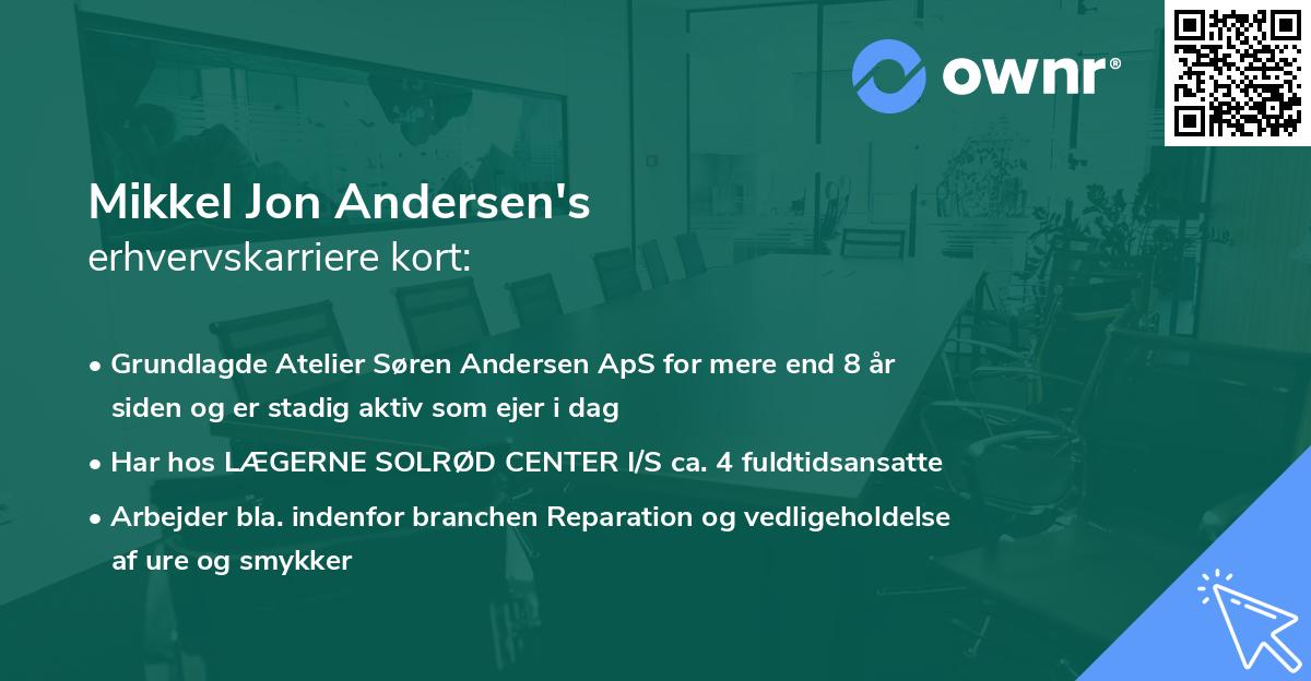 Mikkel Jon Andersen's erhvervskarriere kort