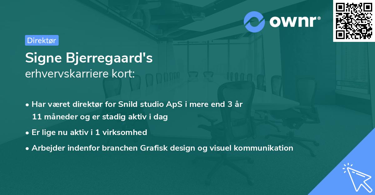 Signe Bjerregaard's erhvervskarriere kort