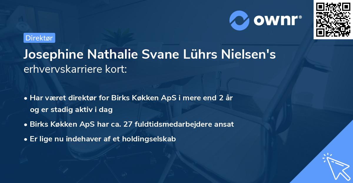 Josephine Nathalie Svane Lührs Nielsen's erhvervskarriere kort