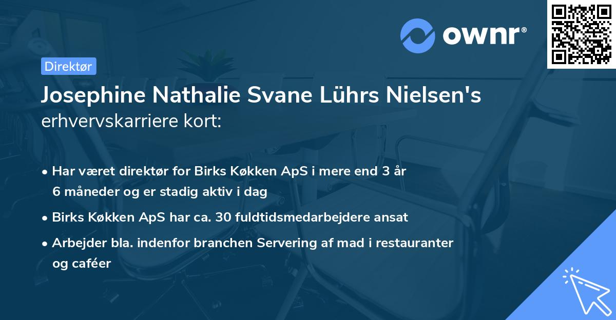 Josephine Nathalie Svane Lührs Nielsen's erhvervskarriere kort