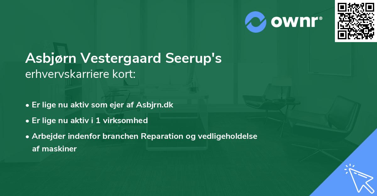 Asbjørn Vestergaard Seerup's erhvervskarriere kort