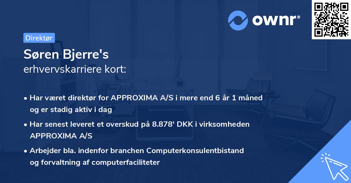 Søren Bjerre's erhvervskarriere kort