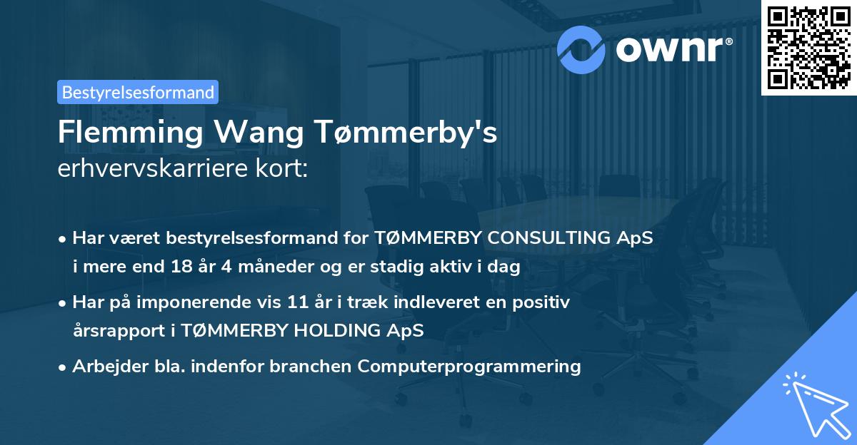 Flemming Wang Tømmerby's erhvervskarriere kort