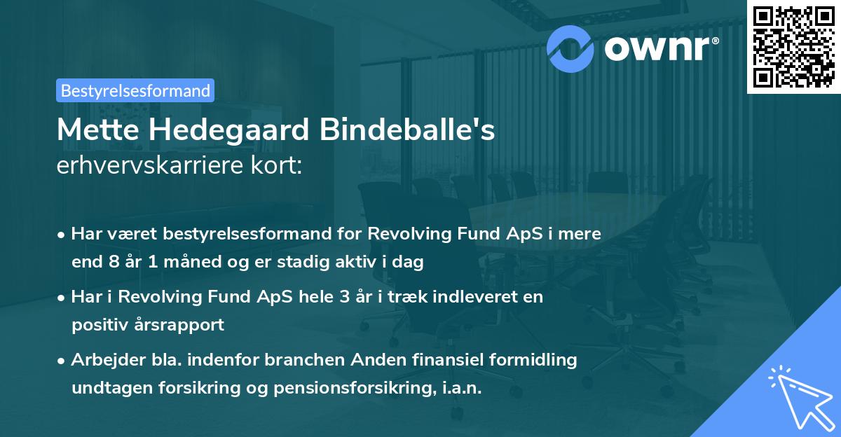 Mette Hedegaard Bindeballe's erhvervskarriere kort