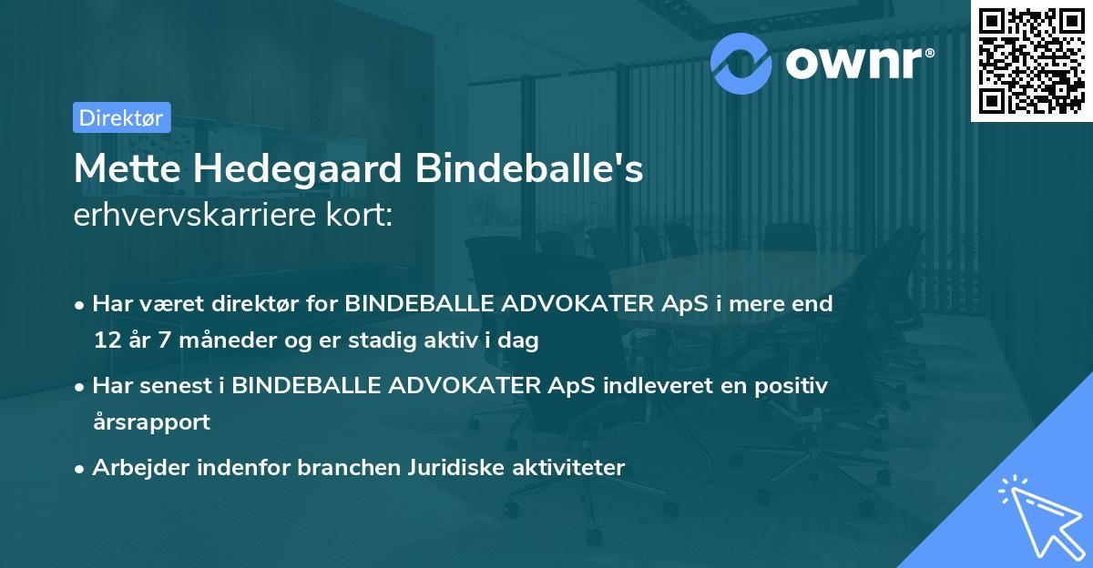 Mette Hedegaard Bindeballe's erhvervskarriere kort