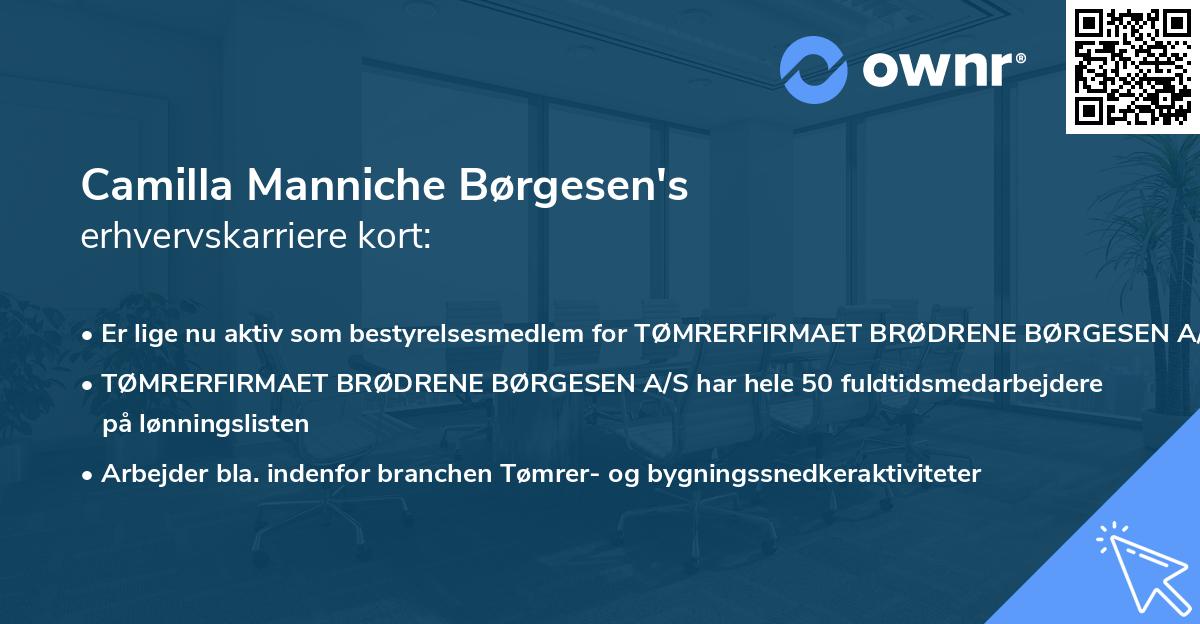 Camilla Manniche Børgesen's erhvervskarriere kort