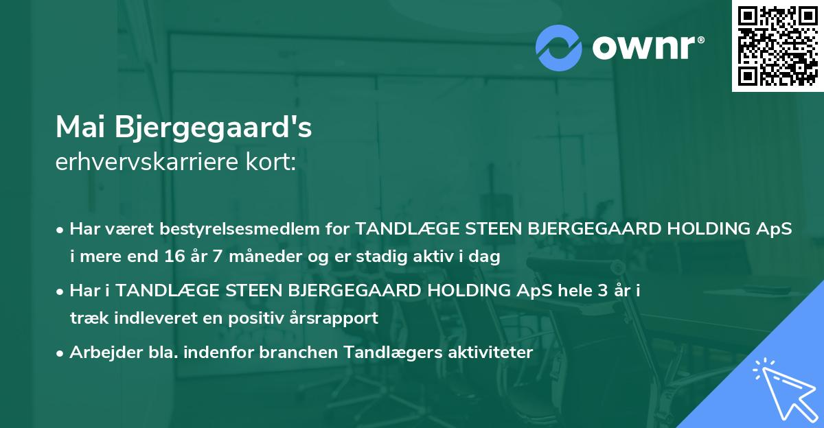 Mai Bjergegaard's erhvervskarriere kort