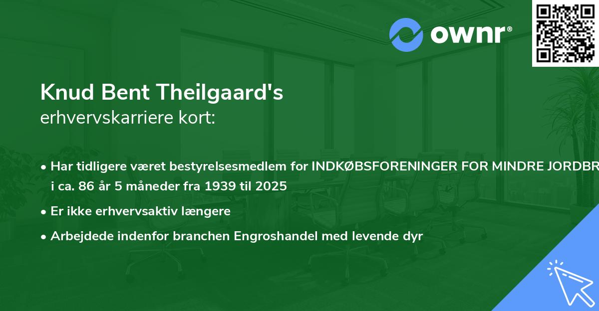 Knud Bent Theilgaard's erhvervskarriere kort