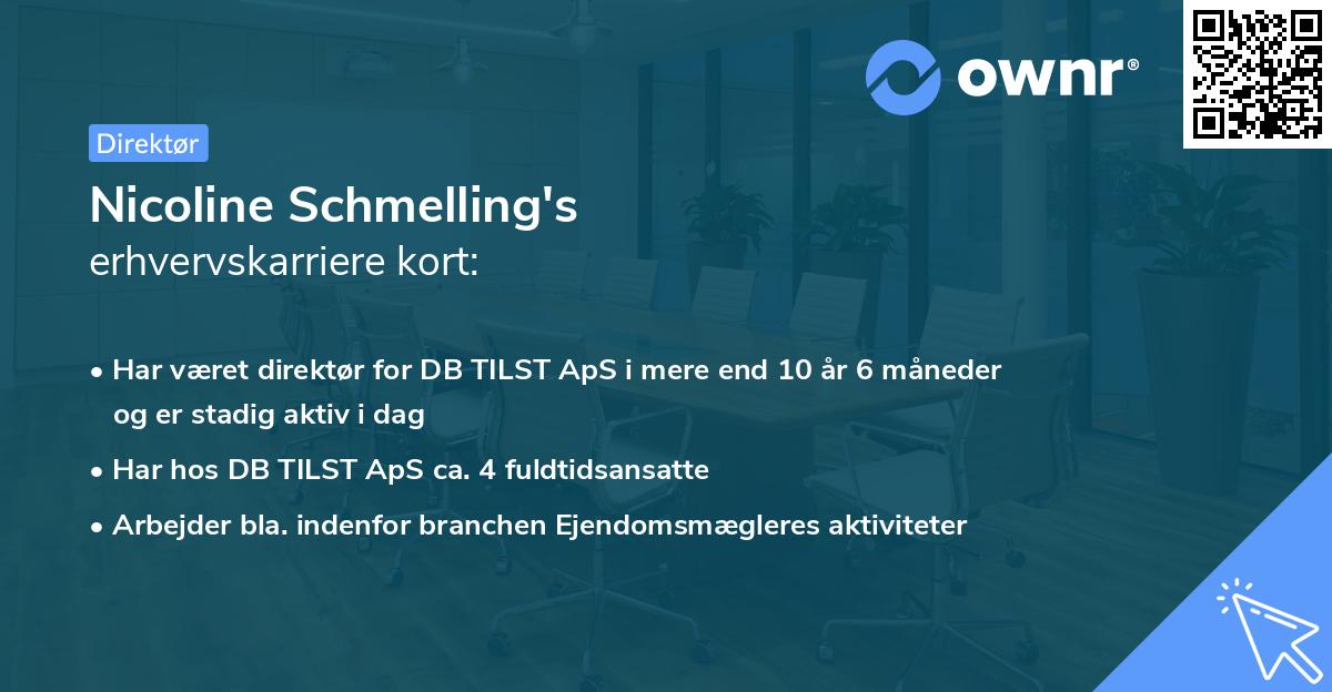 Nicoline Schmelling's erhvervskarriere kort