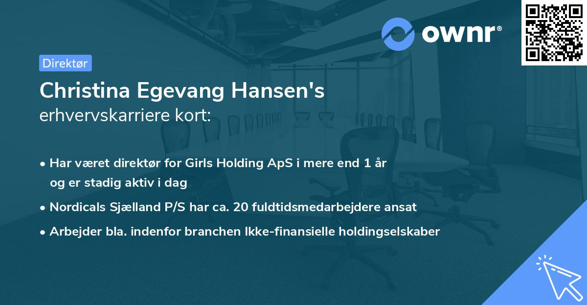 Christina Egevang Hansen's erhvervskarriere kort