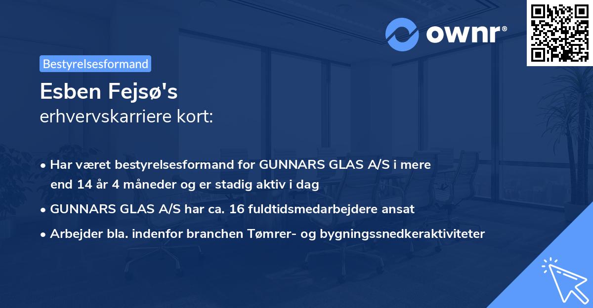 Esben Fejsø's erhvervskarriere kort