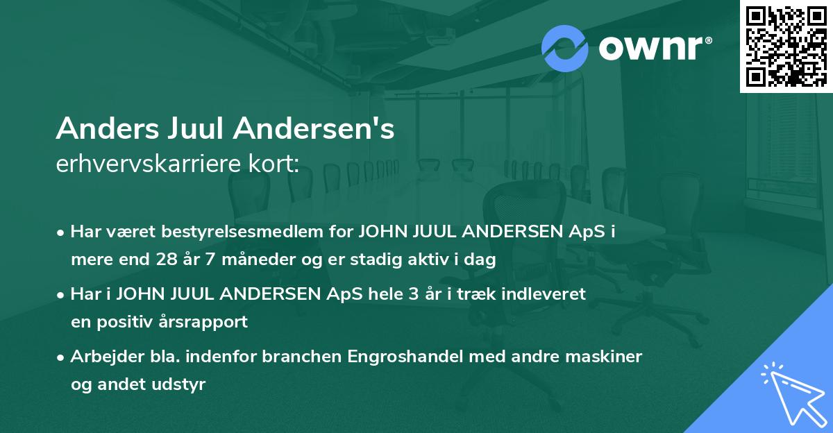 Anders Juul Andersen's erhvervskarriere kort
