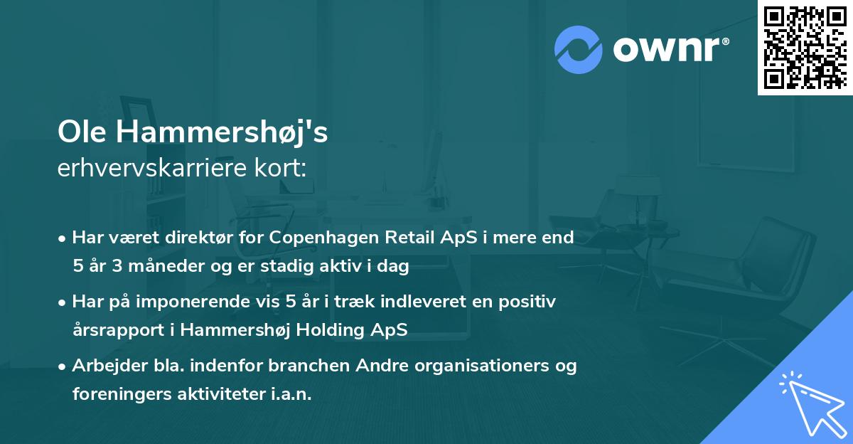 Ole Hammershøj's erhvervskarriere kort