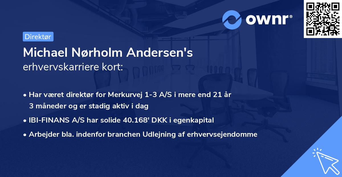 Michael Nørholm Andersen's erhvervskarriere kort